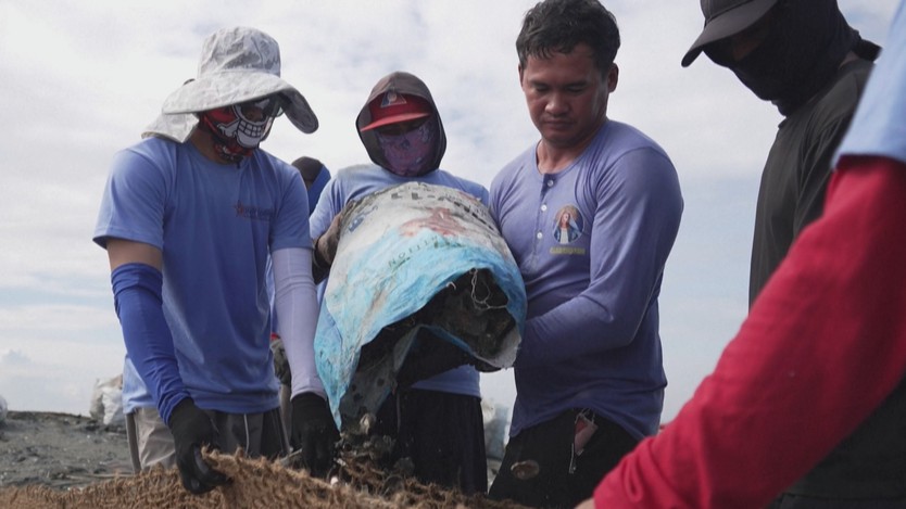 Philippines thử nghiệm mô hình chắn sóng bằng tre và vỏ hàu - Ảnh 3.