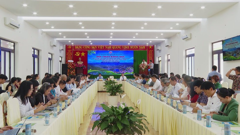 Côn Đảo: Phát triển kinh tế xanh gắn liền với bảo tồn di sản - Ảnh 1.