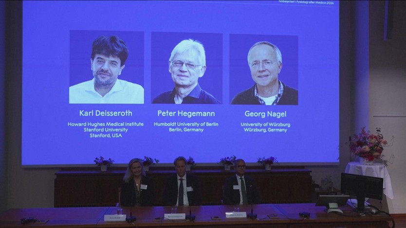 Nobel Y Sinh vinh danh công trình lý giải cách não bộ hoạt động - Ảnh 3.