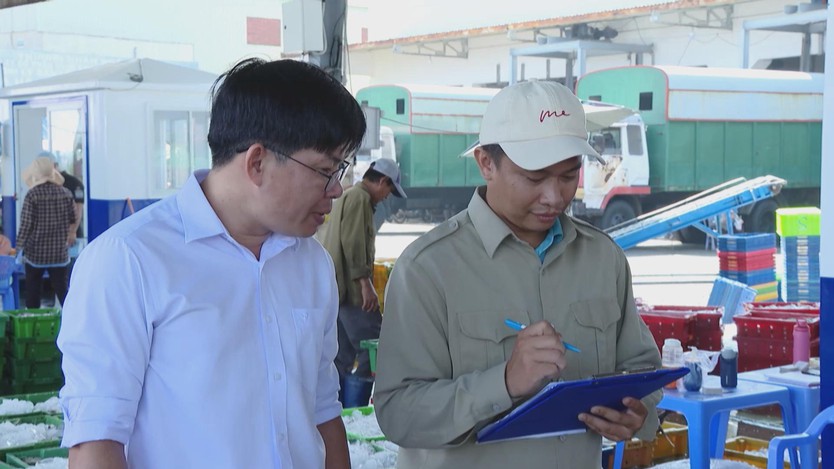 TP. Hồ Chí Minh đẩy nhanh số hóa quản lý tàu cá, hướng tới hoàn thành 100% trước hạn - Ảnh 3.