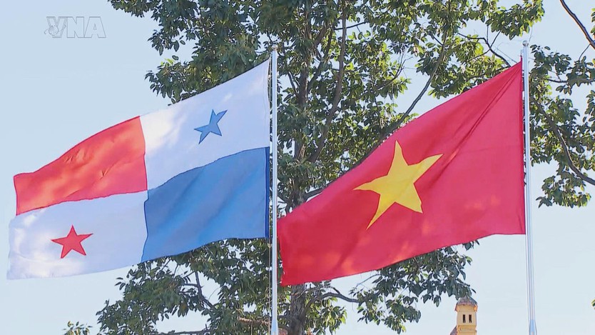 Việt Nam - Panama mở rộng dư địa hợp tác, hướng tới những kết quả cụ thể - Ảnh 6.
