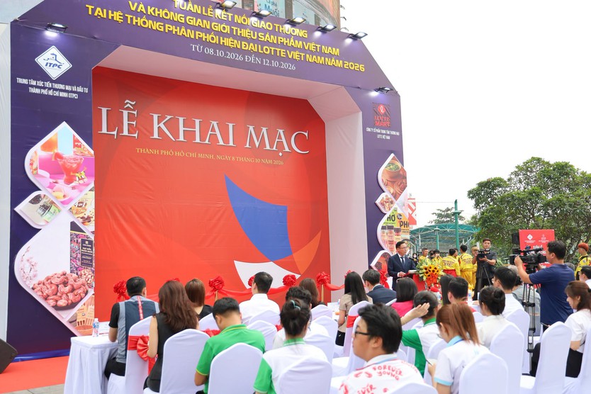 Hàng Việt vào Lotte Mart: Mở thêm cơ hội tiếp cận người tiêu dùng - Ảnh 3.