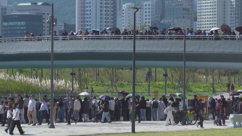 Cá mập ở Busan thu hút gần 20.000 người, giải cứu bất thành- Ảnh 4.