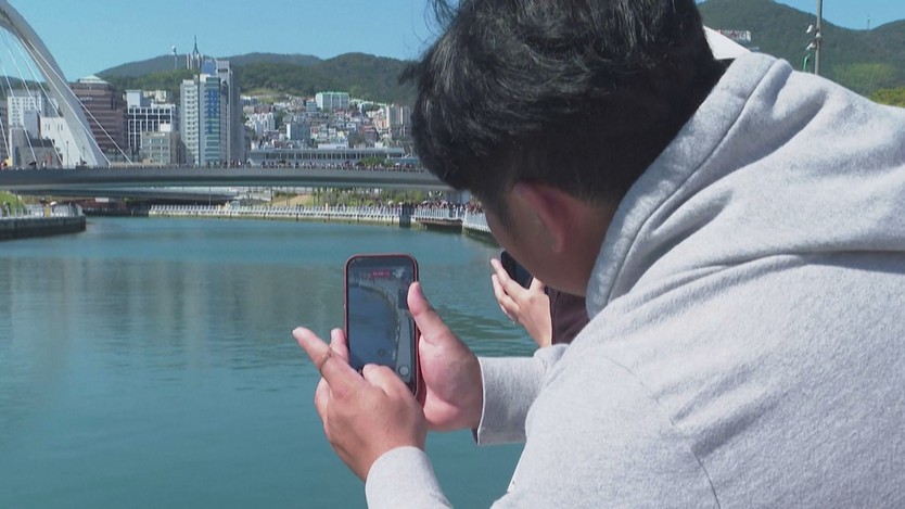 Cá mập ở Busan thu hút gần 20.000 người, giải cứu bất thành- Ảnh 5.