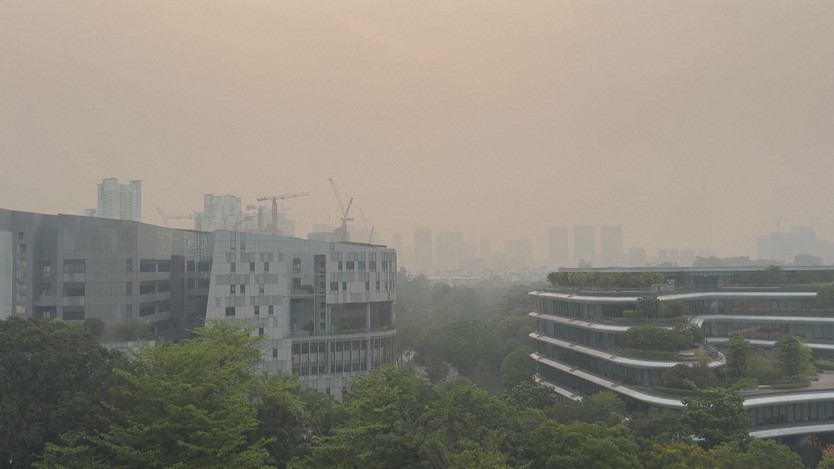 Mù do khói bụi chuyển biến xấu ở Singapore - Ảnh 5.