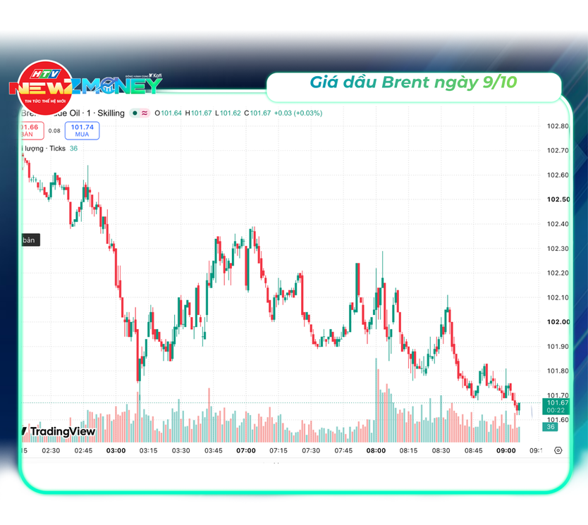 Bắt sóng thị trường 9/10: VN-Index mất mốc 1.740 điểm, giá dầu thế giới tăng hơn 4% | NewZMoney - Ảnh 6.