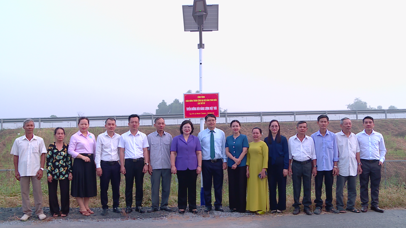 TP. Hồ Chí Minh: Khánh thành đường đèn năng lượng mặt trời tại xã Bình Chánh - Ảnh 1.