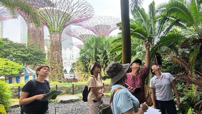 BTS mang "cơn địa chấn" trở lại Singapore sau 7 năm - Ảnh 8.