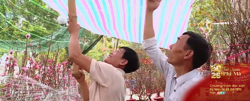 Thời tiết thất thường, tiểu thương chợ hoa Tết đối mặt khó khăn kép - Ảnh 2.
