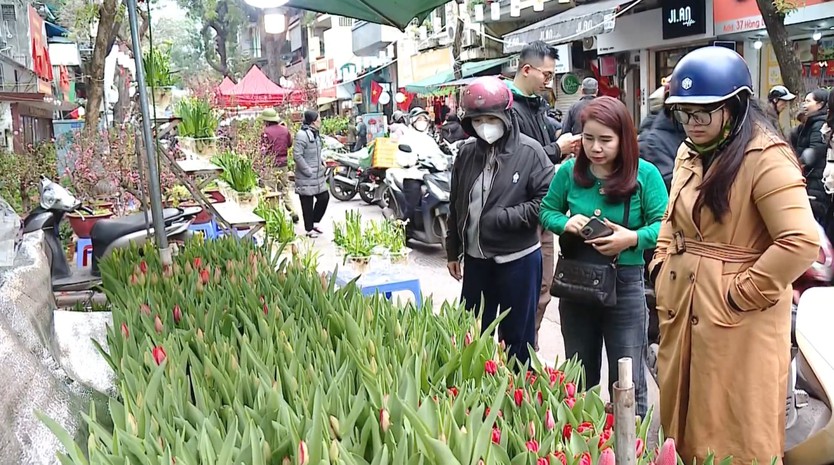 Chợ hoa Hàng Lược: Phiên chợ hơn 100 năm tuổi giữa lòng phố cổ- Ảnh 8.