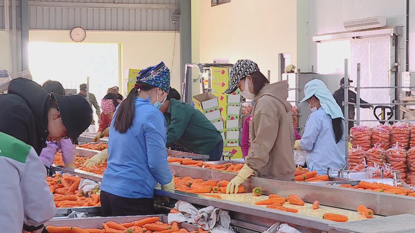 60 Giây ngày 16/2/2026 | Xuân trên những công trình mở lối tương lai - Ảnh 4.