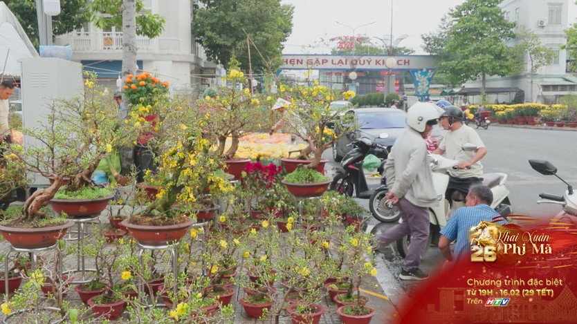 Rực rỡ chợ hoa Xuân Bính Ngọ tại Thủ Dầu Một - Ảnh 4.