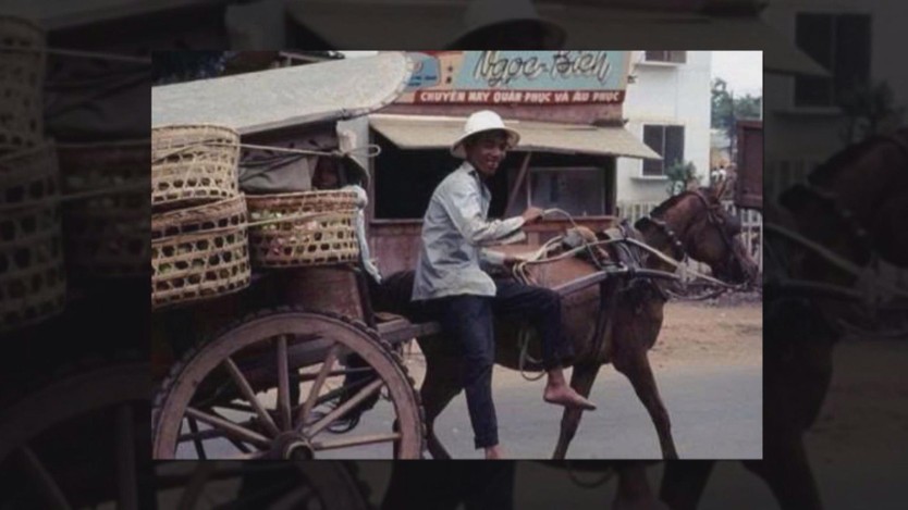 Năm Ngọ nói chuyện ngựa - Ảnh 6.