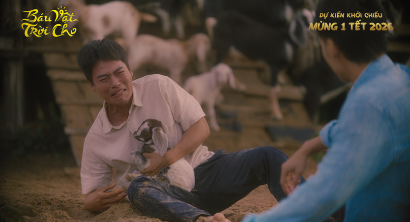 Phim Trấn Thành vững ngôi đầu, Trường Giang phía sau - Ảnh 8.