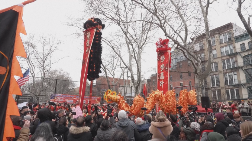 New York tổ chức lễ hội mừng năm mới âm lịch - Ảnh 4.