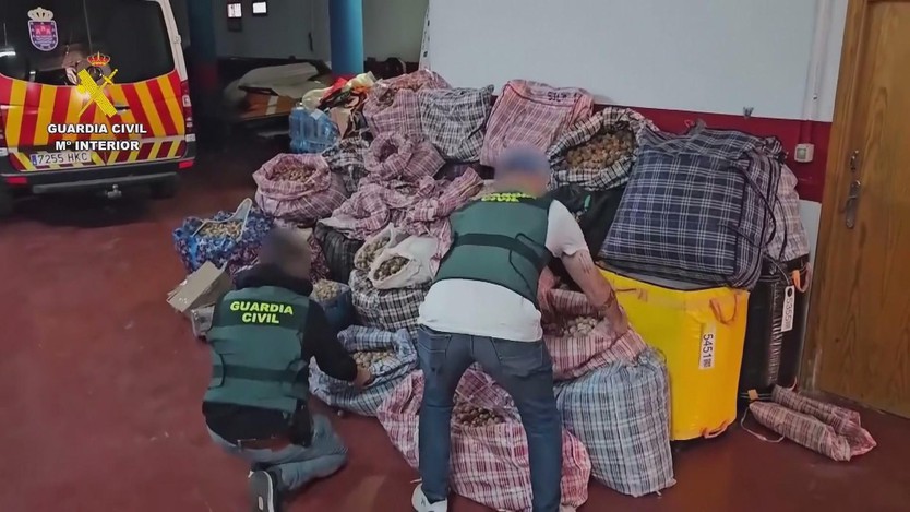 Tây Ban Nha: Bắt giữ 3 nghi phạm vận chuyển hơn nửa tấn quả khô cây thuốc phiện - Ảnh 1.