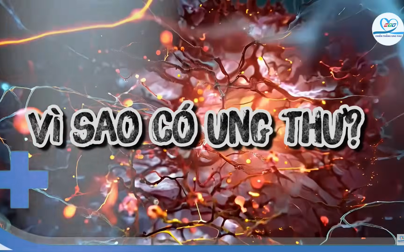 11 tác nhân gia tăng nguy cơ ung thư | HTV Chiến thắng ung thư- Ảnh 6.