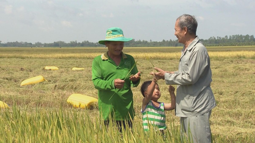 Kỷ nguyên mới của nông nghiệp Việt: Khẳng định giá trị từ chất lượng và chuỗi liên kết bền vững - Ảnh 1.
