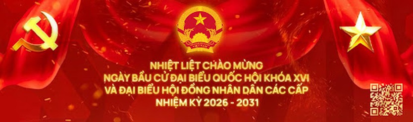 Tóm tắt tiểu sử bà Nguyễn Thị Thu Hường ứng cử Hội đồng nhân dân TP. Hồ Chí Minh Khóa XI - Ảnh 3.