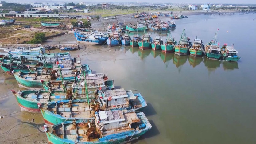 Siết chặt chống khai thác IUU tại TP. Hồ Chí Minh trước đợt kiểm tra của Ủy ban châu Âu - Ảnh 3.