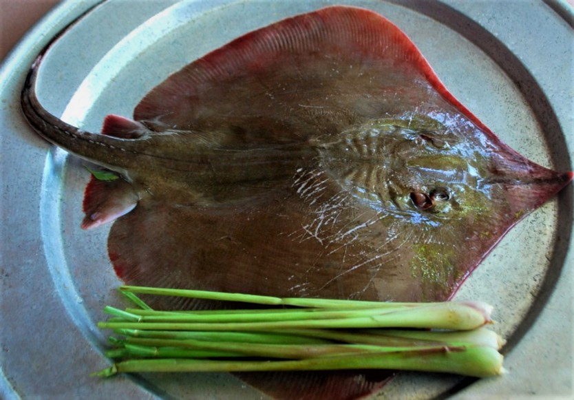 Cá đuối - Ảnh 3.