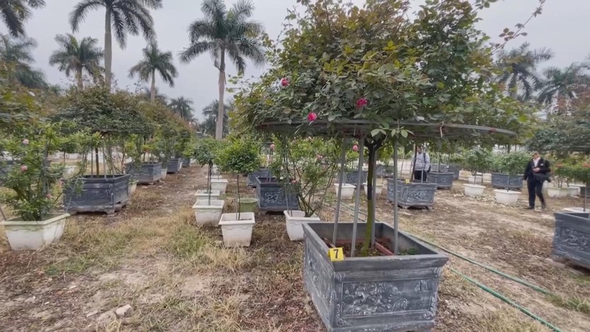 60 Giây ngày 3/2/2026 | TP. Hồ Chí Minh: Triệt phá đường dây sản xuất, buôn bán xăng RON95 giả - Ảnh 4.