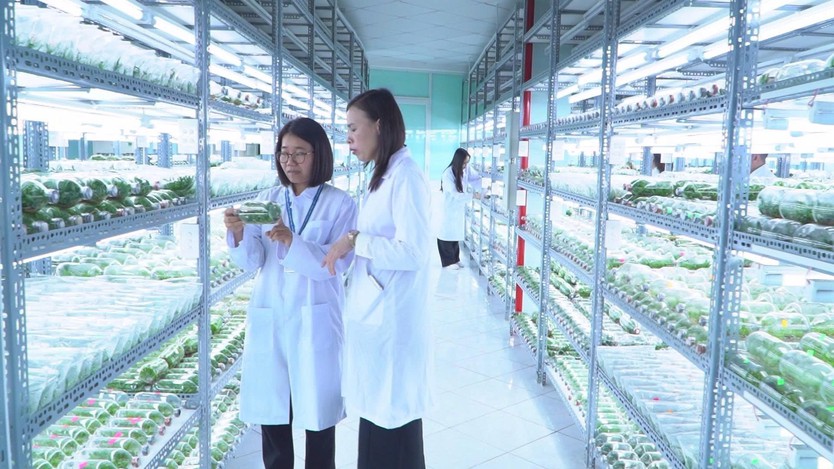 Vinh danh 11 cá nhân tiêu biểu nhận Giải thưởng Tôn Đức Thắng lần thứ 25 - Ảnh 5.