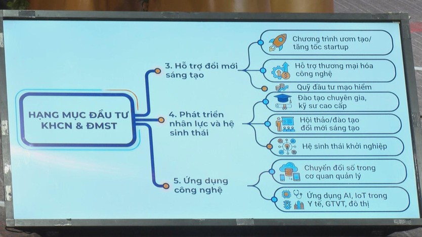 Tháo gỡ chính sách để khơi thông nguồn lực kiều bào cho phát triển thành phố- Ảnh 2.