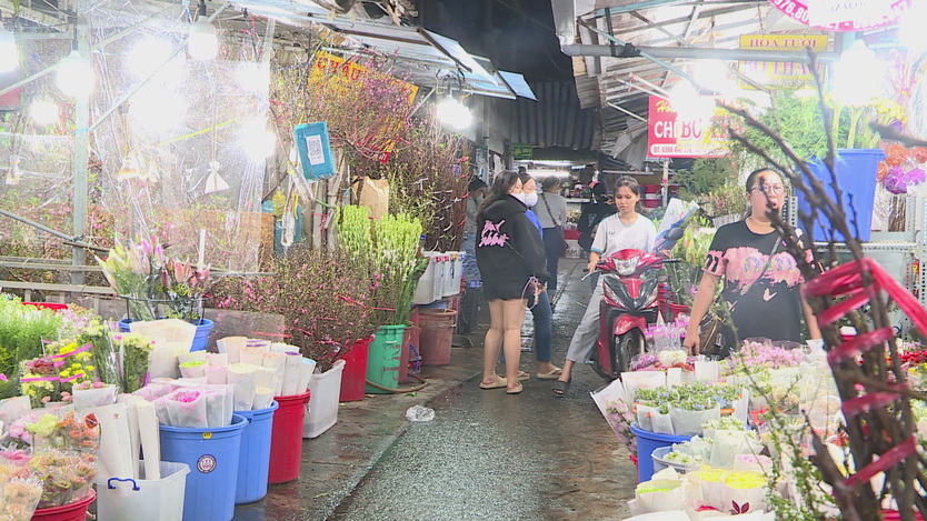 Thị trường hoa Tết TP. Hồ Chí Minh: Hoa truyền thống giữ "ngôi vương", lan hồ điệp hút khách - Ảnh 4.