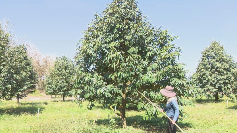 Vươn khơi - Ngày 1/3/2026 | Đẩy mạnh giải pháp nâng cao năng lực cạnh tranh cho doanh nghiệp- Ảnh 3.