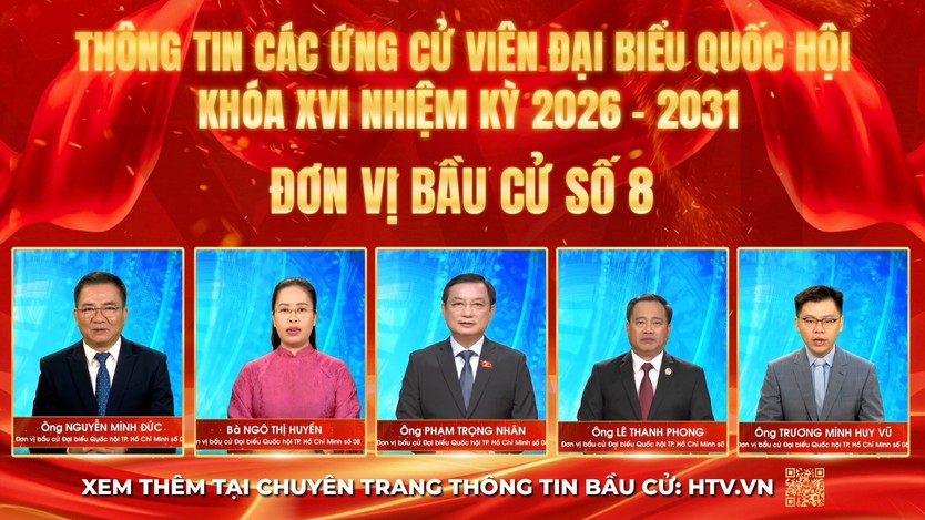 Thông tin các ứng cử viên Đại biểu Quốc hội Khóa XVI - Đơn vị bầu cử số 8 - Ảnh 1.