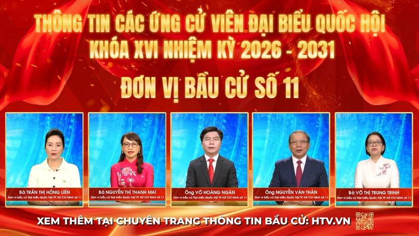 Thông tin các ứng cử viên Đại biểu Quốc hội Khóa XVI - Đơn vị bầu cử số 11 - Ảnh 1.