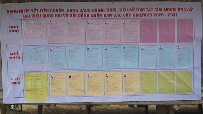 Gia Lai tổ chức bầu cử sớm tại thôn O2, xã Vĩnh Sơn - Ảnh 4.