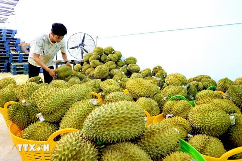 Thủ tướng chỉ đạo đẩy mạnh xuất khẩu, mở rộng thị trường trong năm 2026 - Ảnh 3.