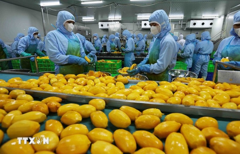 Thủ tướng chỉ đạo đẩy mạnh xuất khẩu, mở rộng thị trường trong năm 2026 - Ảnh 2.