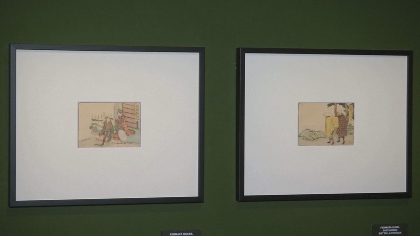 Italia: Trưng bày tác phẩm của Nghệ sĩ Nhật Bản Hokusai - Ảnh 4.