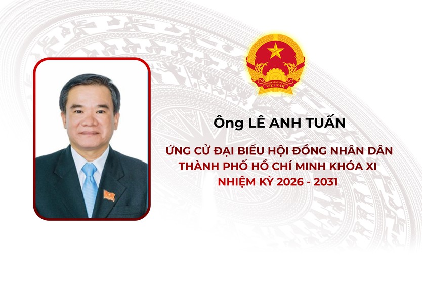 Thông tin các ứng cử viên Đại biểu Hội đồng nhân dân TP. Hồ Chí Minh Khóa XI - Đơn vị bầu cử số 6 - Ảnh 2.