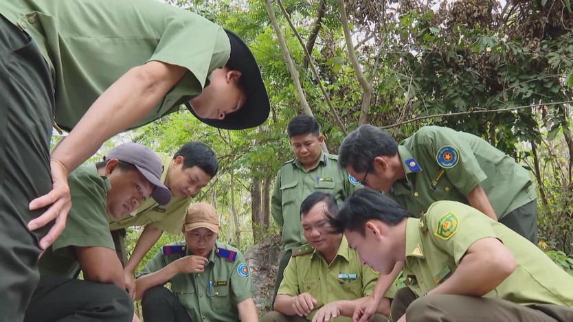 TP. Hồ Chí Minh siết chặt phòng chống cháy rừng mùa khô - Ảnh 1.