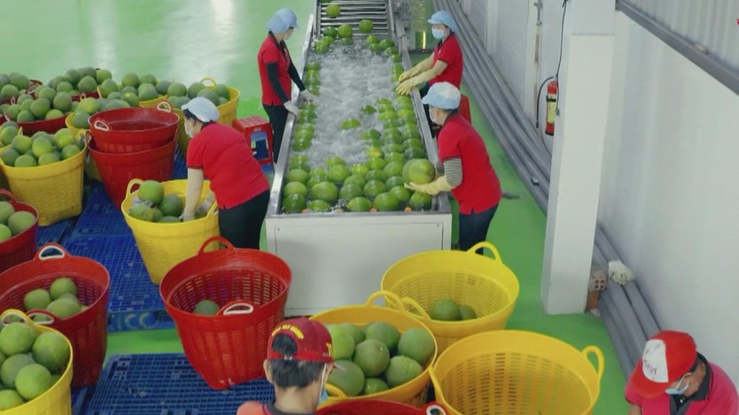 Biến động địa chính trị và bài toán thích ứng của doanh nghiệp xuất khẩu - Ảnh 2.