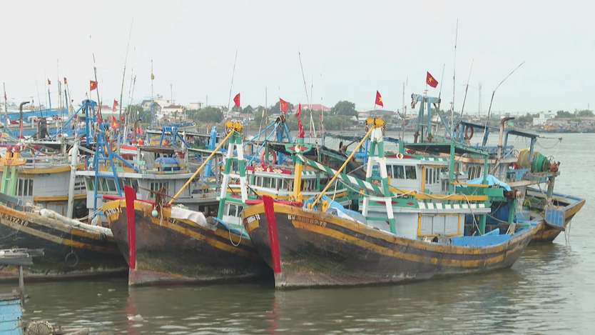 CÁC ĐỊA PHƯƠNG VEN BIỂN TP. HỒ CHÍ MINH CHUẨN BỊ CHU ĐÁO CHO NGÀY BẦU CỬ  - Ảnh 1.