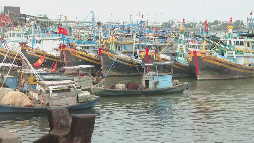 CÁC ĐỊA PHƯƠNG VEN BIỂN TP. HỒ CHÍ MINH CHUẨN BỊ CHU ĐÁO CHO NGÀY BẦU CỬ  - Ảnh 2.