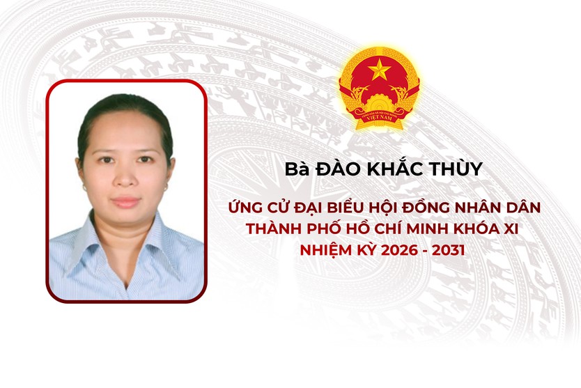 Thông tin các ứng cử viên Đại biểu Hội đồng nhân dân TP. Hồ Chí Minh Khóa XI - Đơn vị bầu cử số 28- Ảnh 6.