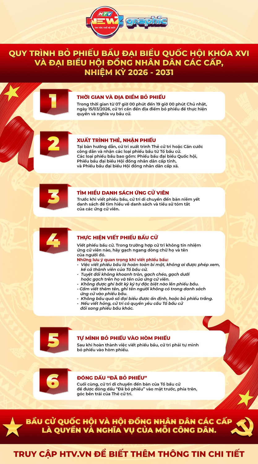 NewZgraphic: Quy trình bỏ phiếu bầu cử - Ảnh 1.