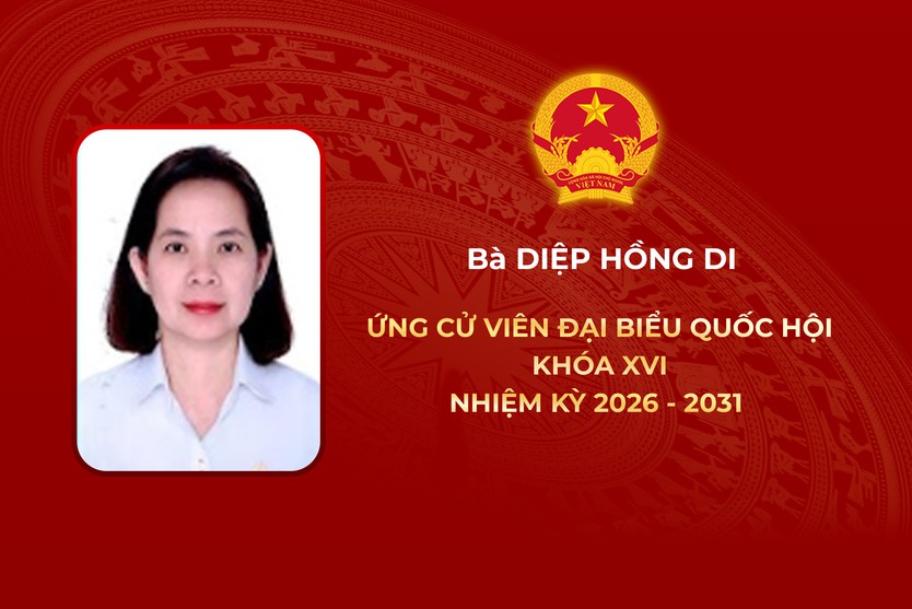 Thông tin các ứng cử viên Đại biểu Quốc hội Khóa XVI - Đơn vị bầu cử số 3 - Ảnh 2.