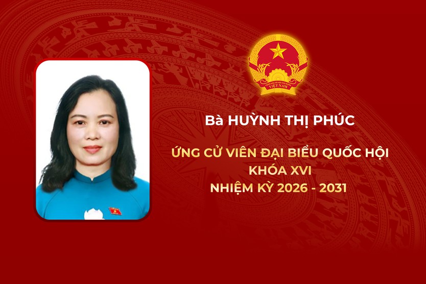 Thông tin các ứng cử viên Đại biểu Quốc hội Khóa XVI - Đơn vị bầu cử số 5 - Ảnh 3.