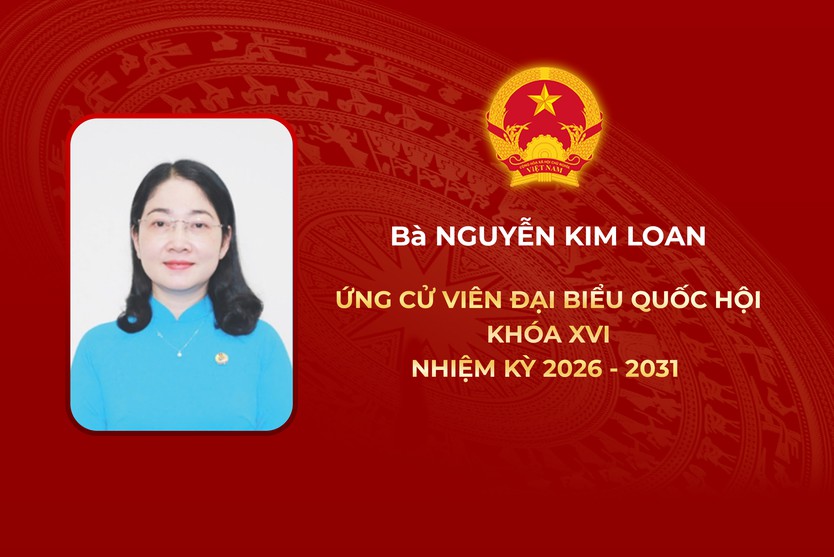 Thông tin các ứng cử viên Đại biểu Quốc hội Khóa XVI - Đơn vị bầu cử số 4 - Ảnh 3.