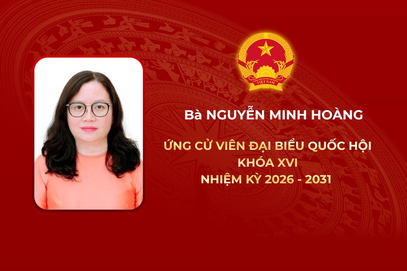 Thông tin các ứng cử viên Đại biểu Quốc hội Khóa XVI - Đơn vị bầu cử số 5 - Ảnh 2.