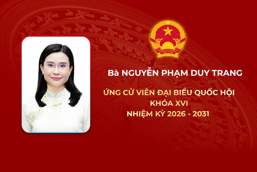 Thông tin các ứng cử viên Đại biểu Quốc hội Khóa XVI - Đơn vị bầu cử số 2 - Ảnh 6.