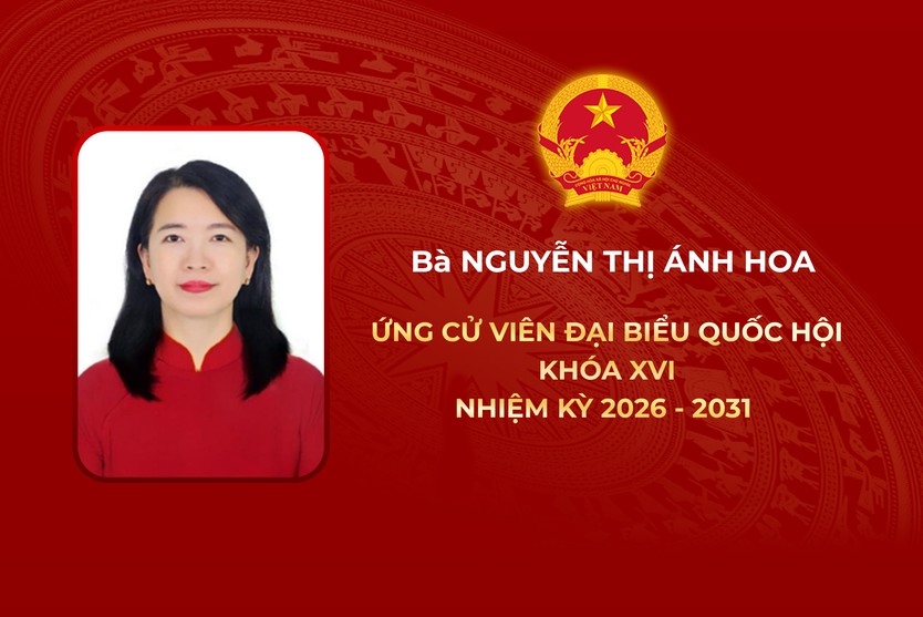 Thông tin các ứng cử viên Đại biểu Quốc hội Khóa XVI - Đơn vị bầu cử số 2 - Ảnh 3.