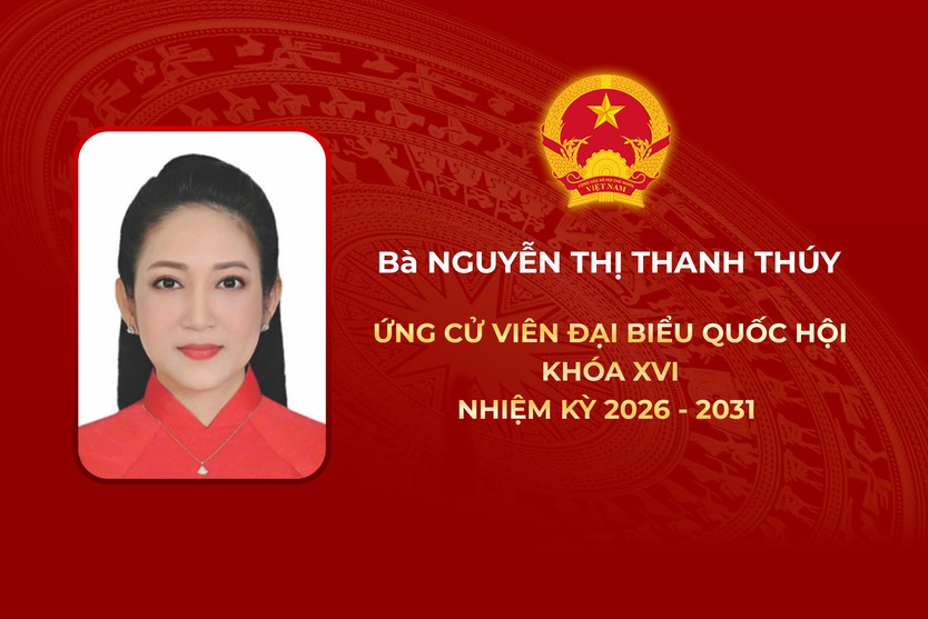 Thông tin các ứng cử viên Đại biểu Quốc hội Khóa XVI - Đơn vị bầu cử số 4 - Ảnh 5.